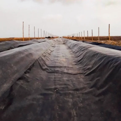 LLDPE Geomembrane