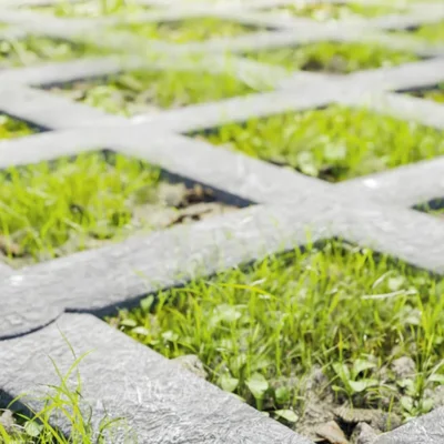 Standard HDPE Grass Paver