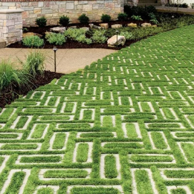 Custom HDPE Grass Paver