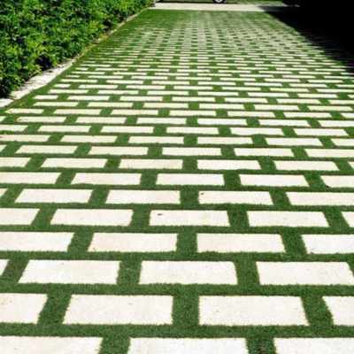 Root-Friendly HDPE Paver